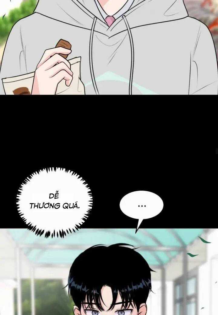 Bí Mật Tình Yêu Tuổi Thanh Xuân Chapter 9 trang 17