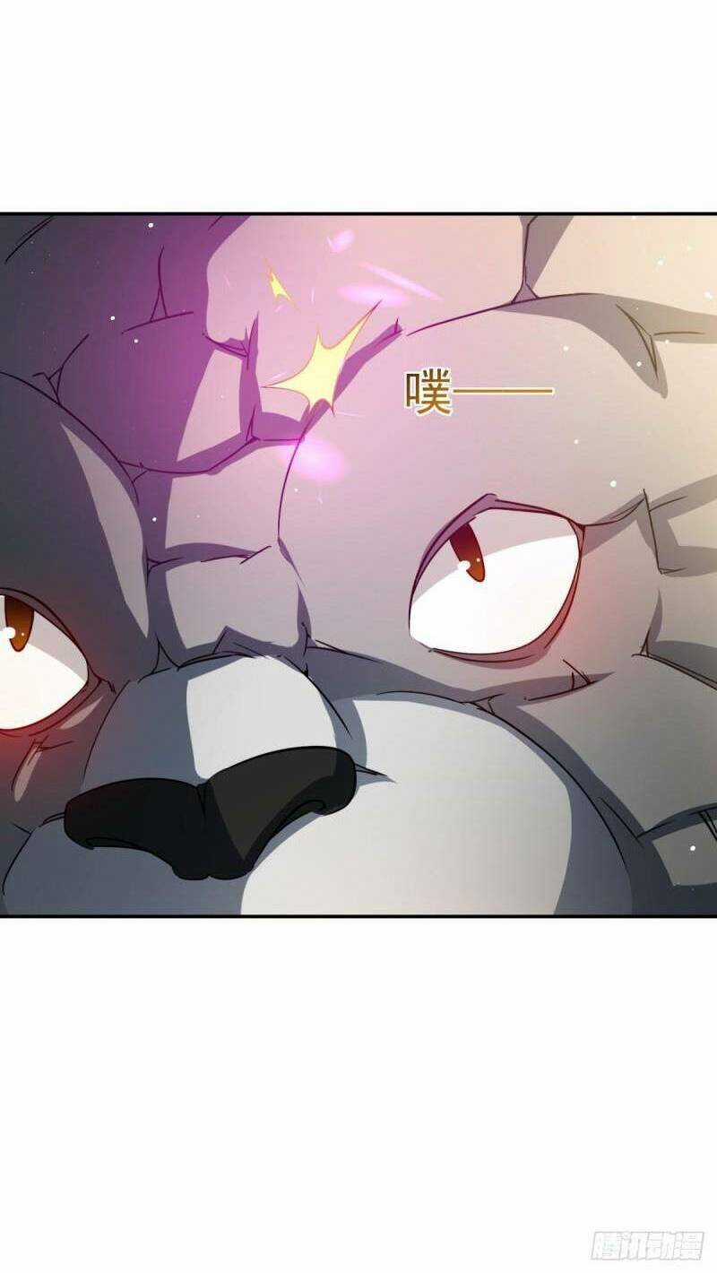 Bí Pháp Ngự Rồng Chapter 12 trang 7