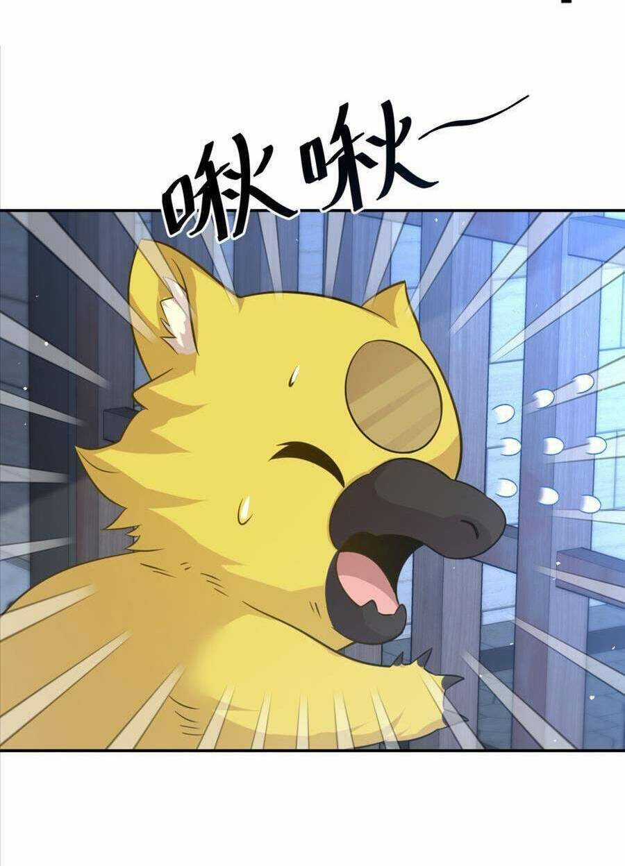 Bí Pháp Ngự Rồng Chapter 25 trang 3