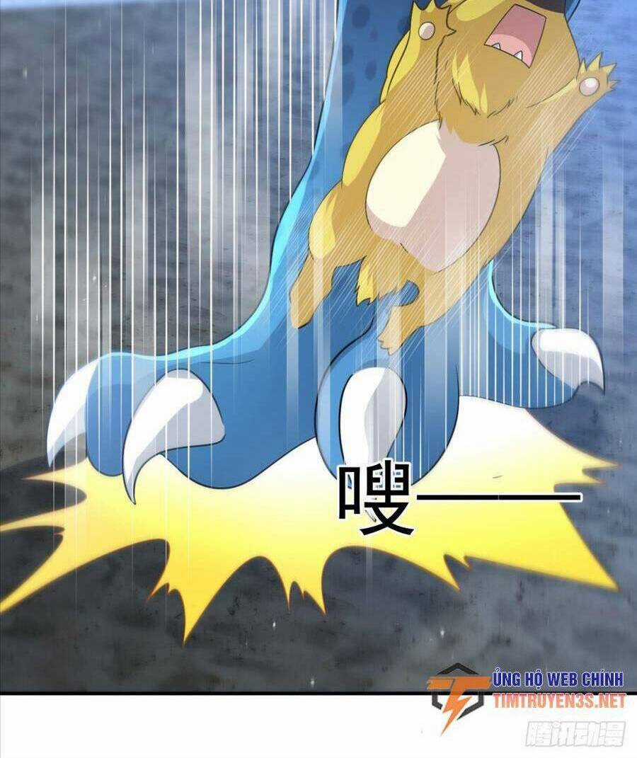 Bí Pháp Ngự Rồng Chapter 26 trang 31