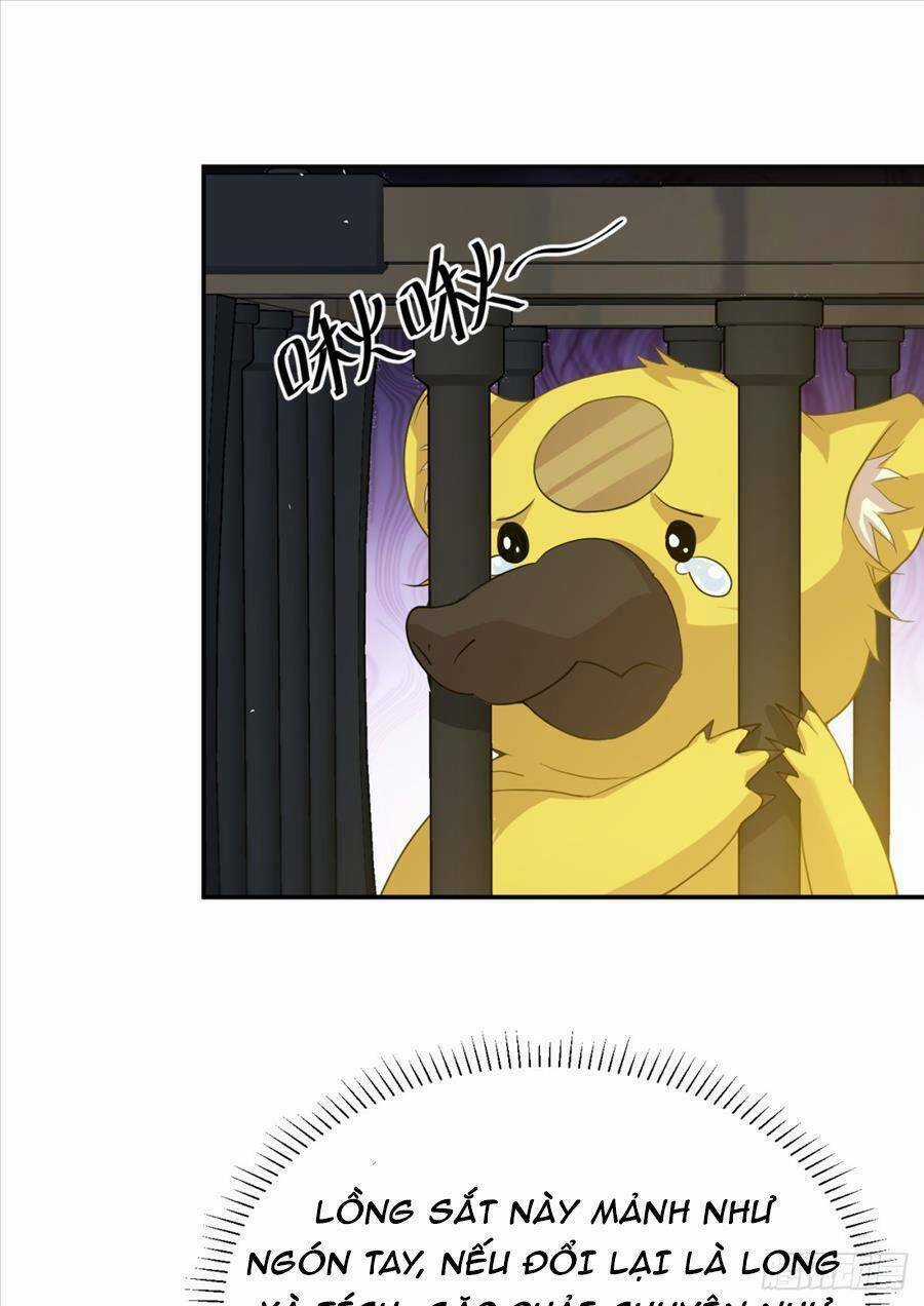 Bí Pháp Ngự Rồng Chapter 26 trang 62