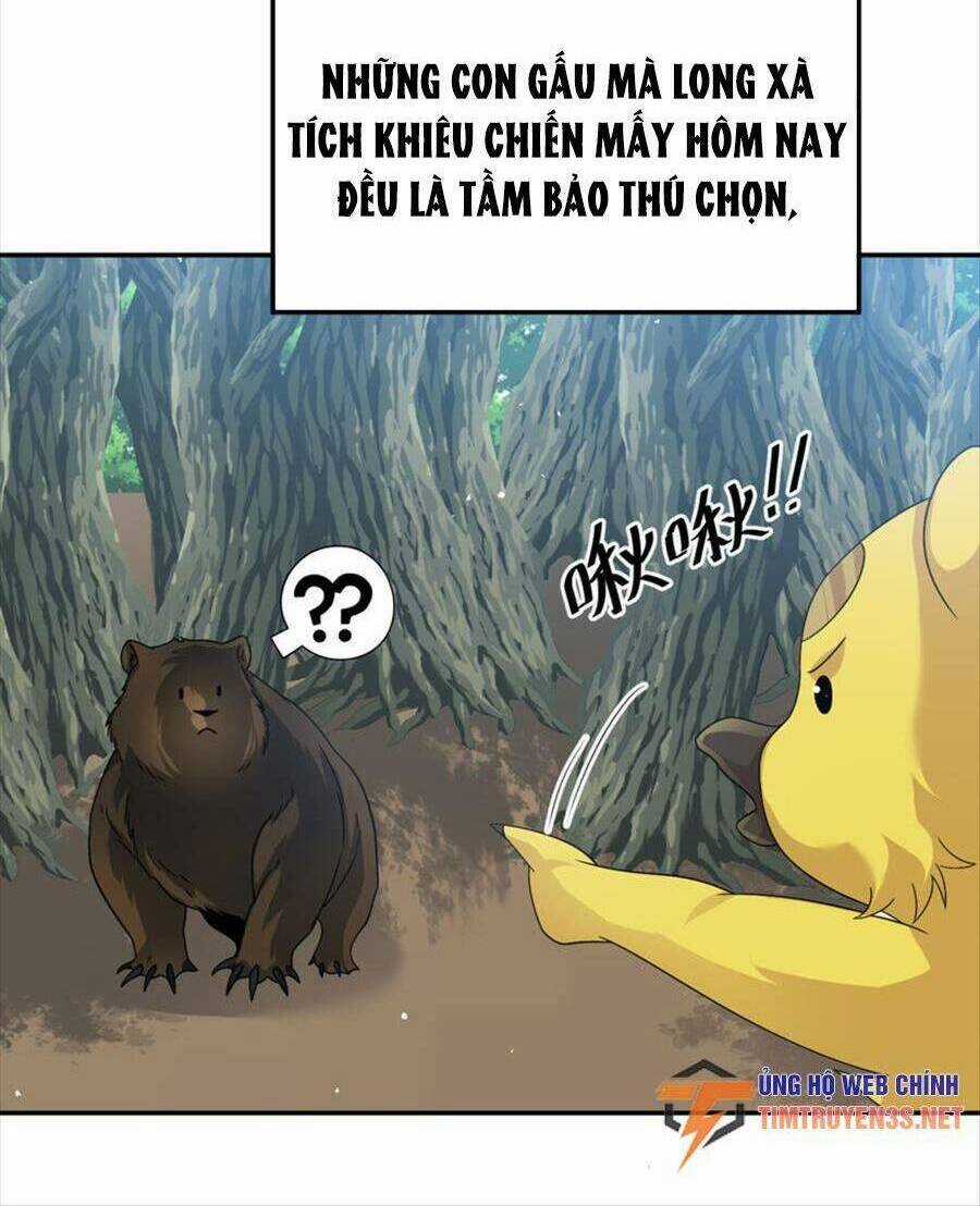 Bí Pháp Ngự Rồng Chapter 33 trang 37