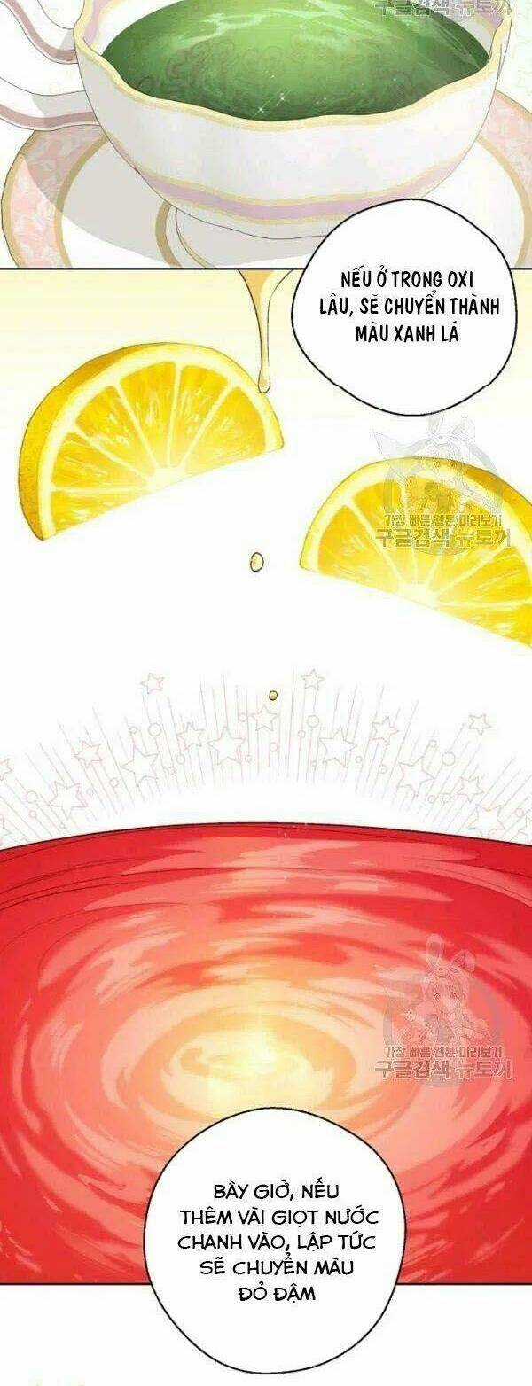 Bí Quyết Trà 50 Của Nữ Công Tước Chapter 108 trang 14