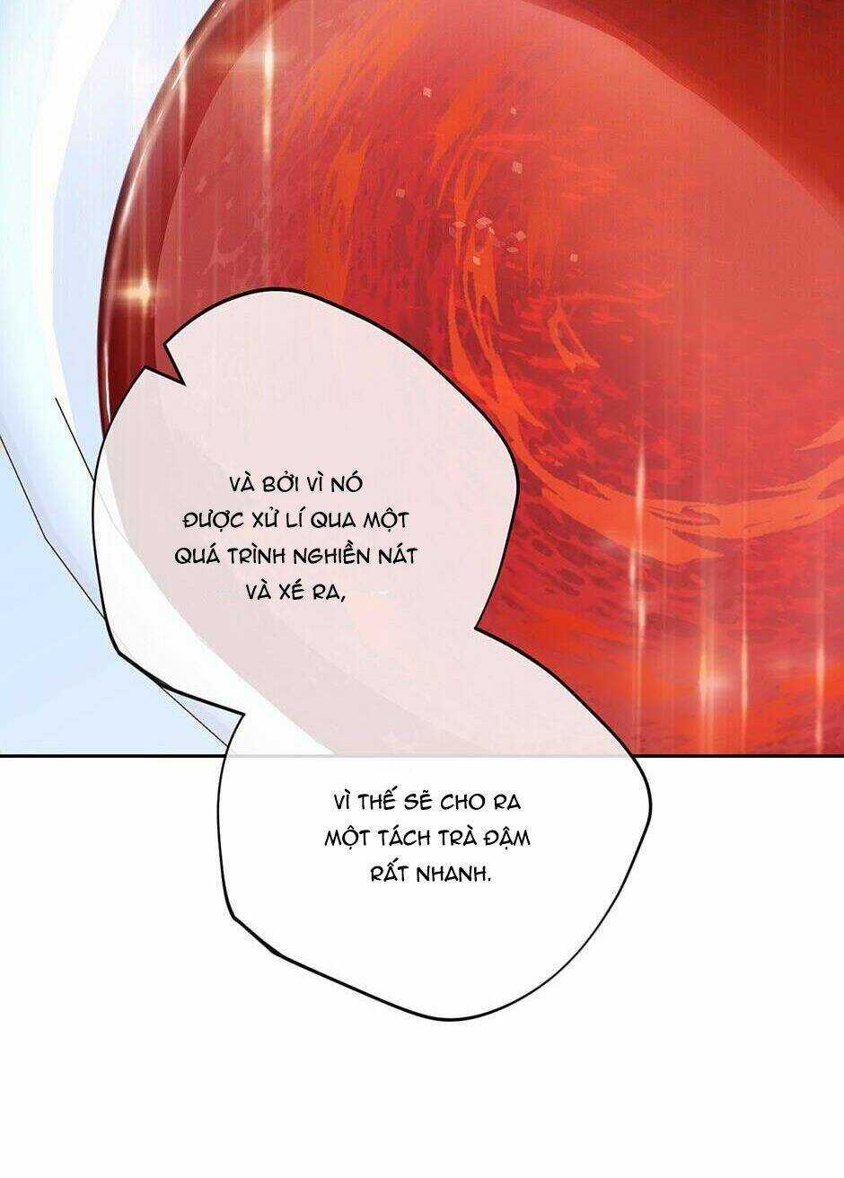 Bí Quyết Trà 50 Của Nữ Công Tước Chapter 118 trang 31