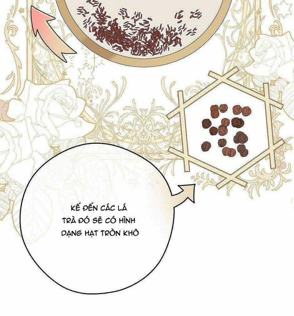 Bí Quyết Trà 50 Của Nữ Công Tước Chapter 119 trang 12