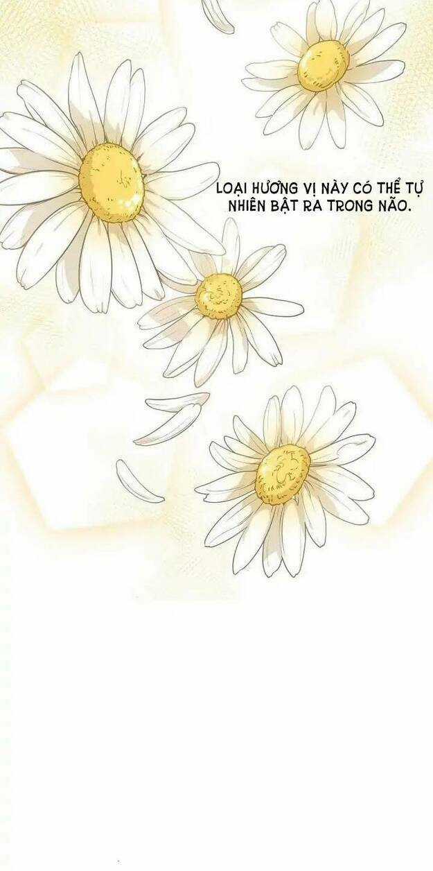 Bí Quyết Trà 50 Của Nữ Công Tước Chapter 12 trang 14