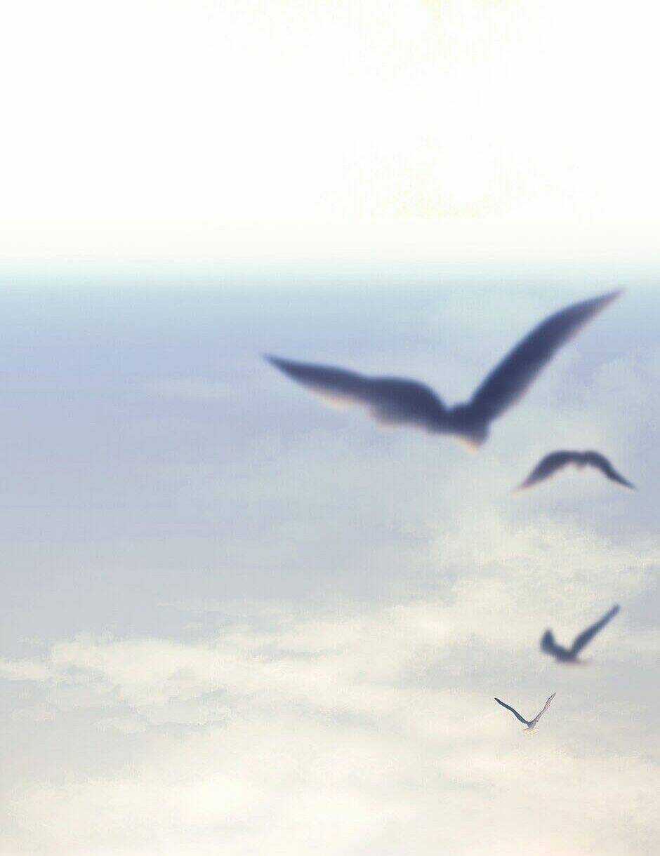 Bí Quyết Trà 50 Của Nữ Công Tước Chapter 127 trang 71