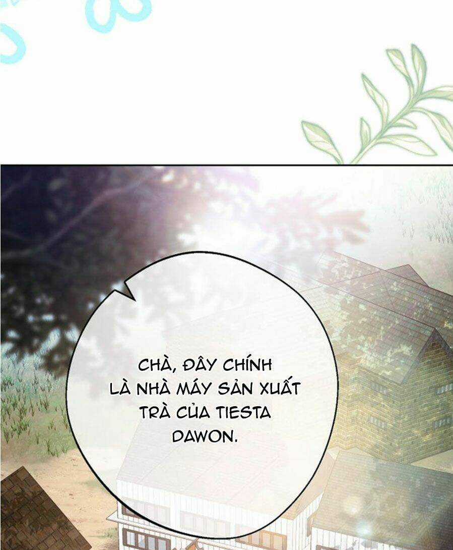 Bí Quyết Trà 50 Của Nữ Công Tước Chapter 129 trang 24