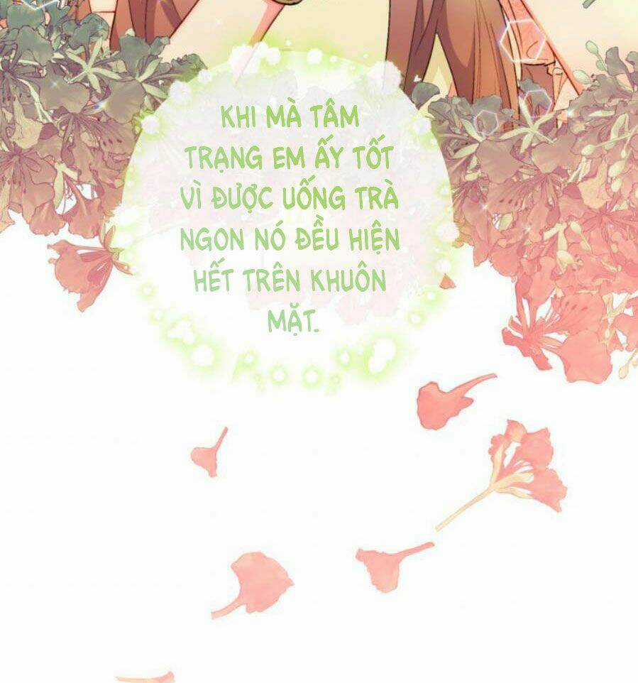 Bí Quyết Trà 50 Của Nữ Công Tước Chapter 132 trang 5