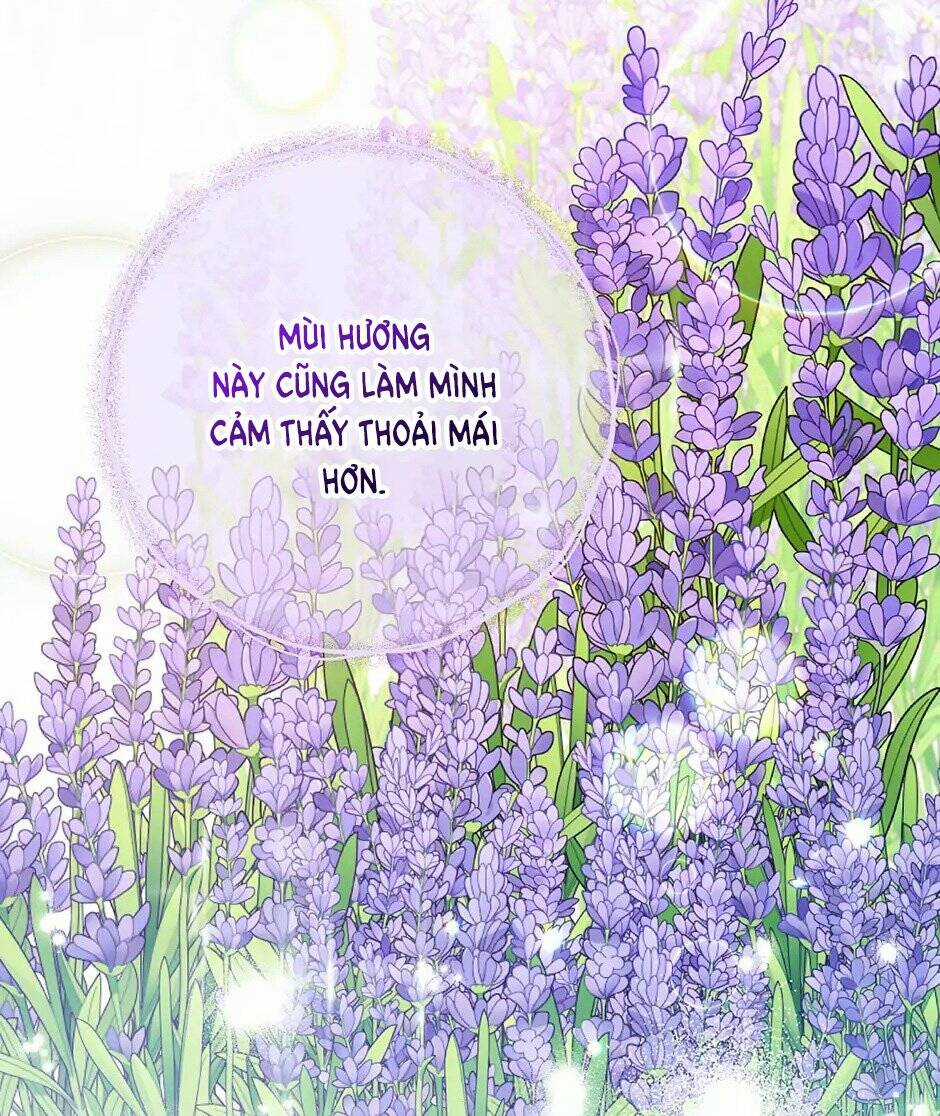 Bí Quyết Trà 50 Của Nữ Công Tước Chapter 139 trang 114