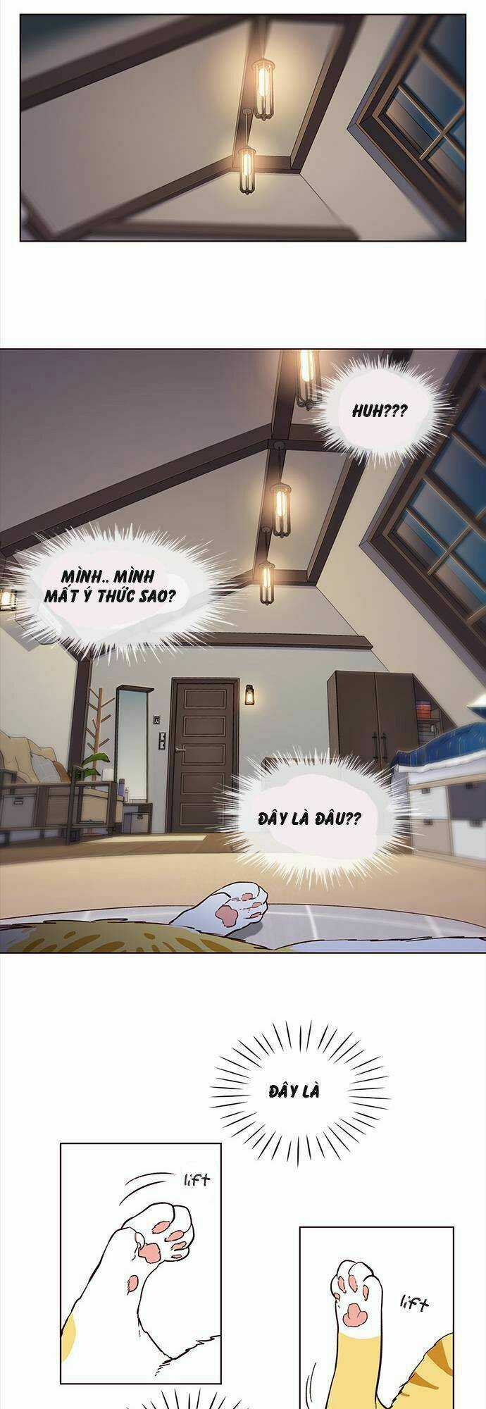 Biến Thân Thành Mèo Chapter 1 trang 24