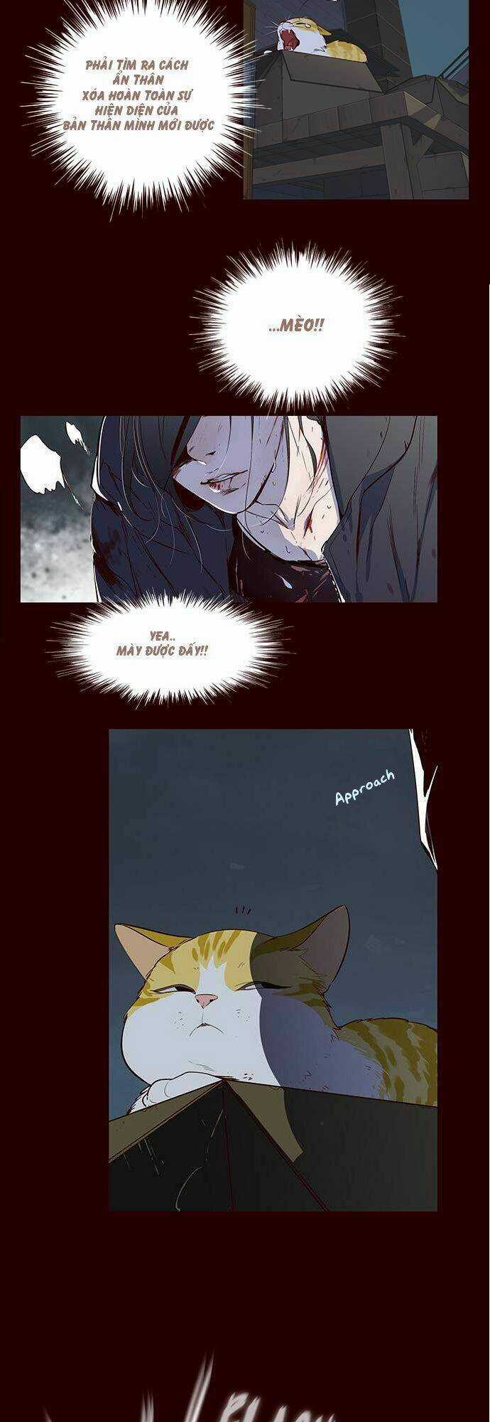 Biến Thân Thành Mèo Chapter 1 trang 3