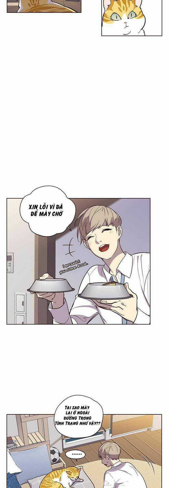 Biến Thân Thành Mèo Chapter 1 trang 30