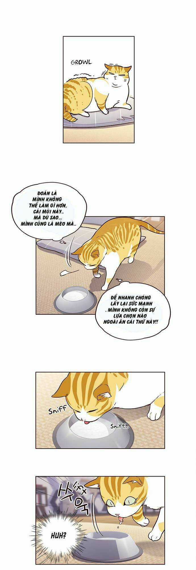 Biến Thân Thành Mèo Chapter 1 trang 34