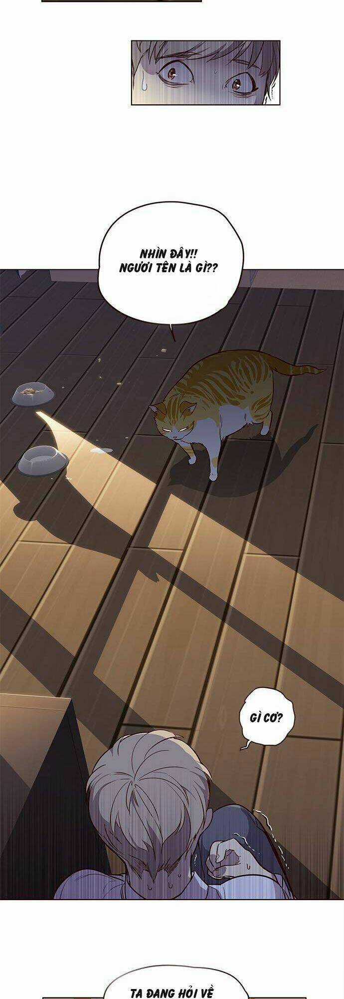 Biến Thân Thành Mèo Chapter 1 trang 39