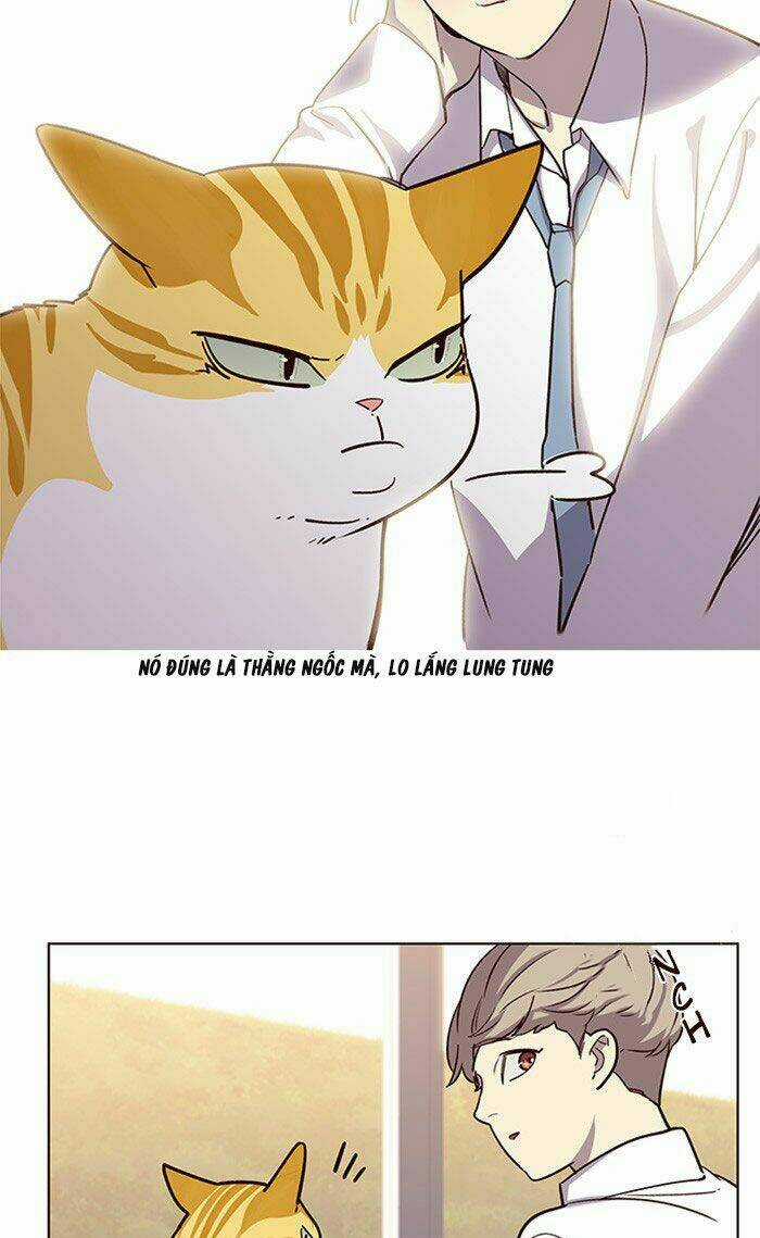 Biến Thân Thành Mèo Chapter 10 trang 12