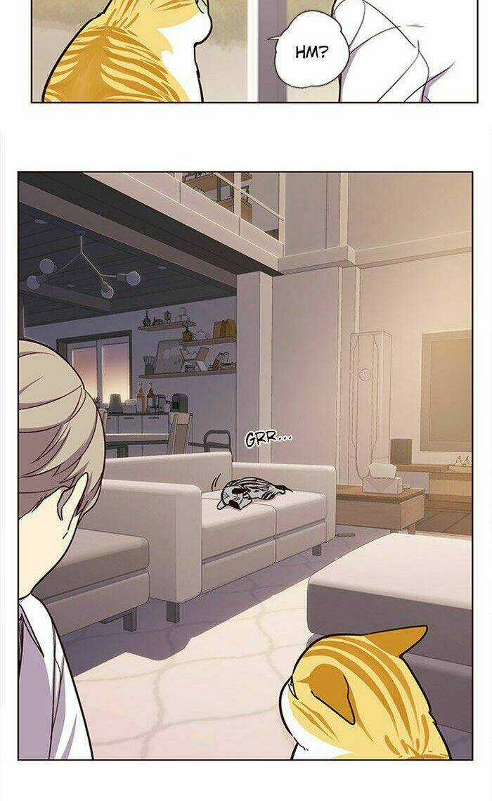 Biến Thân Thành Mèo Chapter 10 trang 13