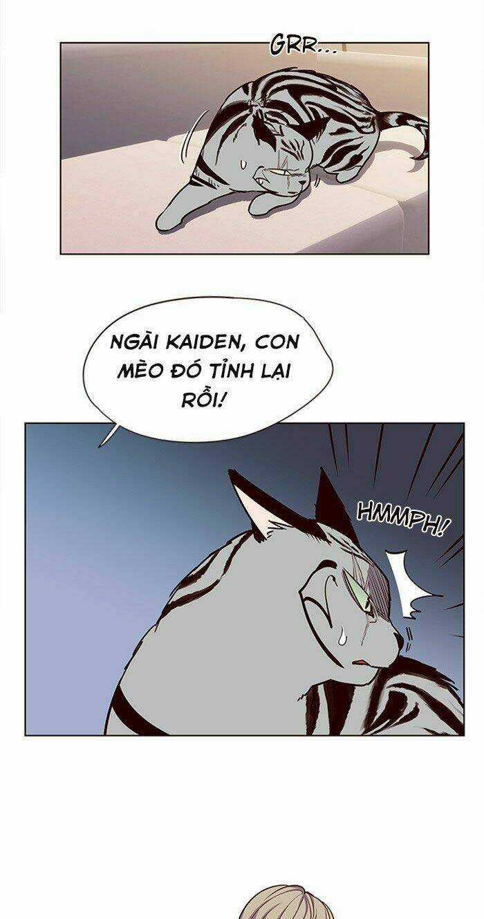 Biến Thân Thành Mèo Chapter 10 trang 14