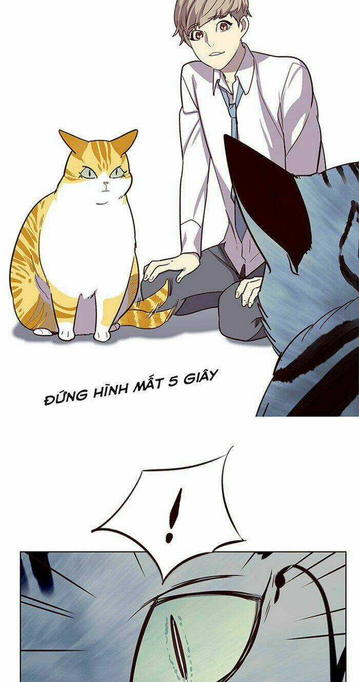 Biến Thân Thành Mèo Chapter 10 trang 15