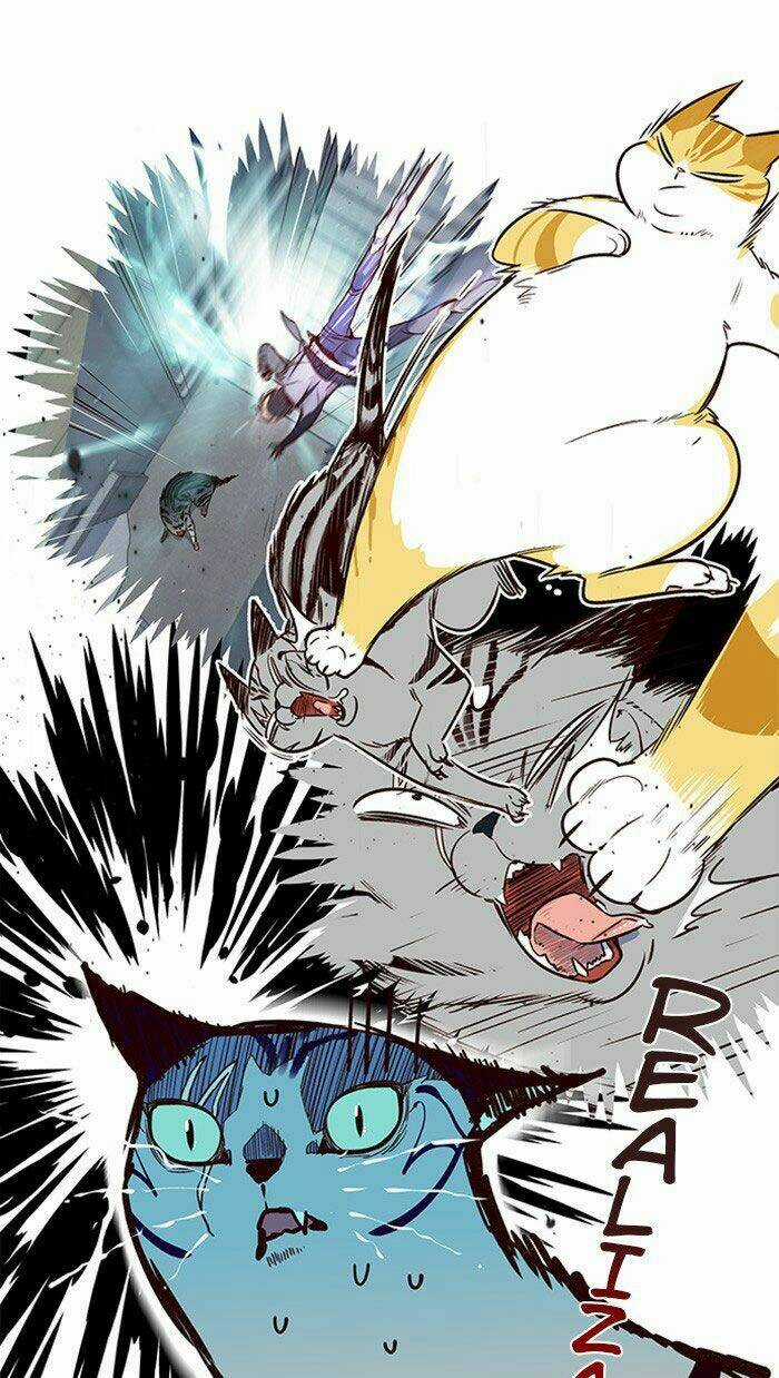 Biến Thân Thành Mèo Chapter 10 trang 18