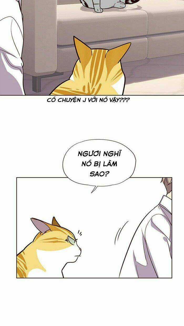 Biến Thân Thành Mèo Chapter 10 trang 21