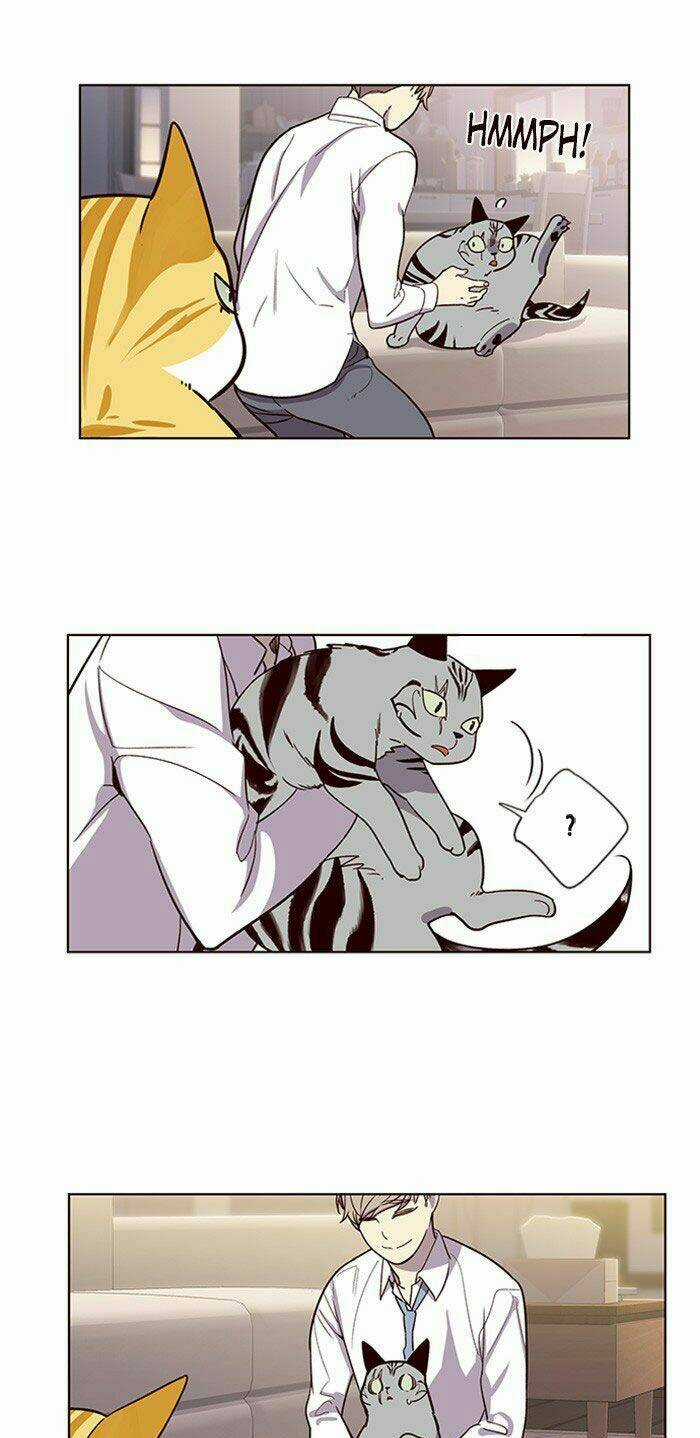 Biến Thân Thành Mèo Chapter 10 trang 22