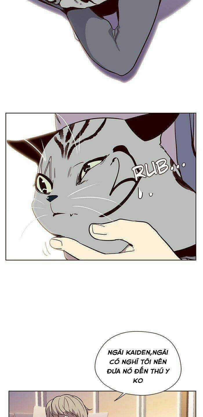 Biến Thân Thành Mèo Chapter 10 trang 24