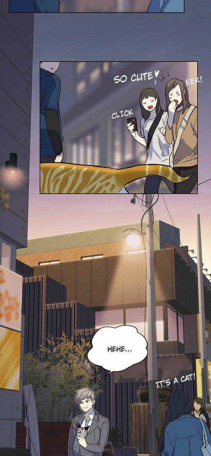 Biến Thân Thành Mèo Chapter 10 trang 33