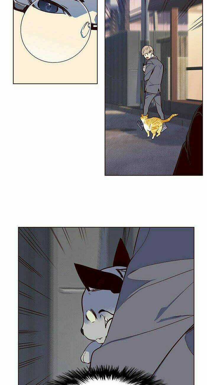 Biến Thân Thành Mèo Chapter 10 trang 37