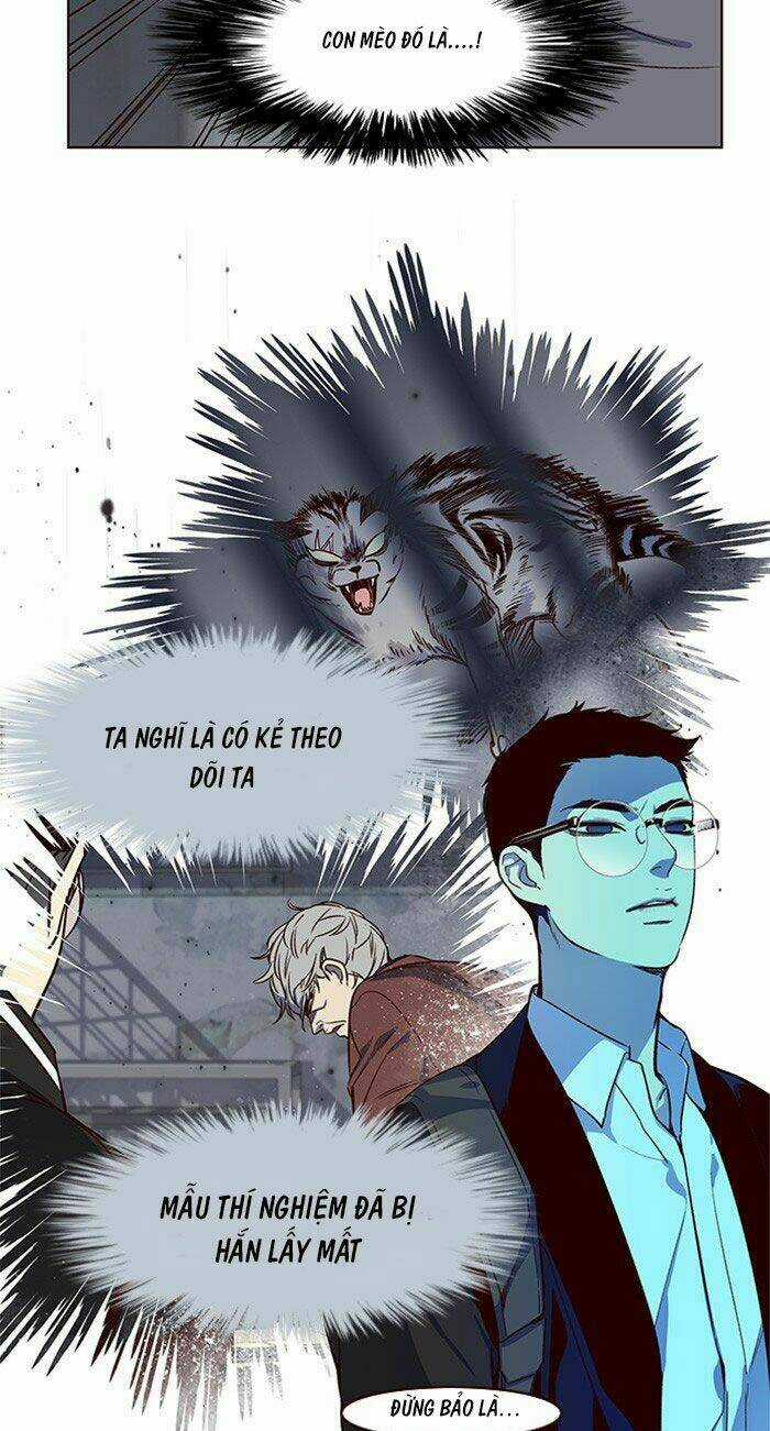 Biến Thân Thành Mèo Chapter 10 trang 38