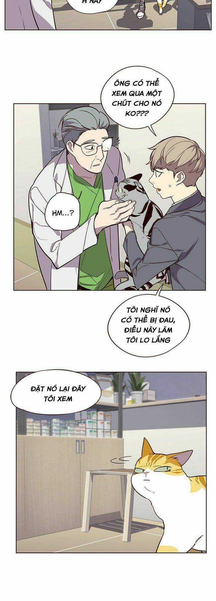 Biến Thân Thành Mèo Chapter 10 trang 41