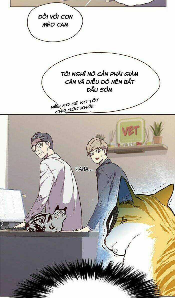 Biến Thân Thành Mèo Chapter 10 trang 43