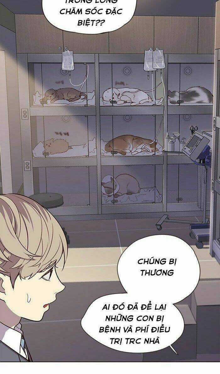 Biến Thân Thành Mèo Chapter 10 trang 45