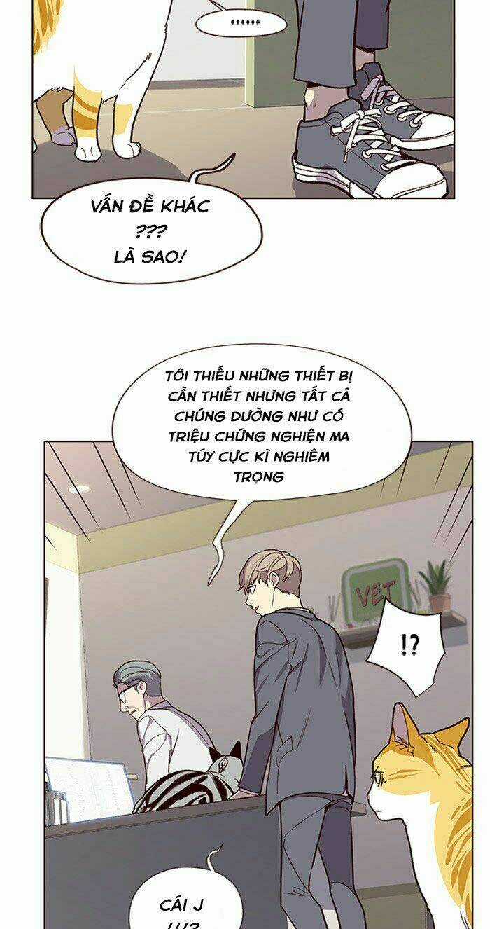 Biến Thân Thành Mèo Chapter 10 trang 48