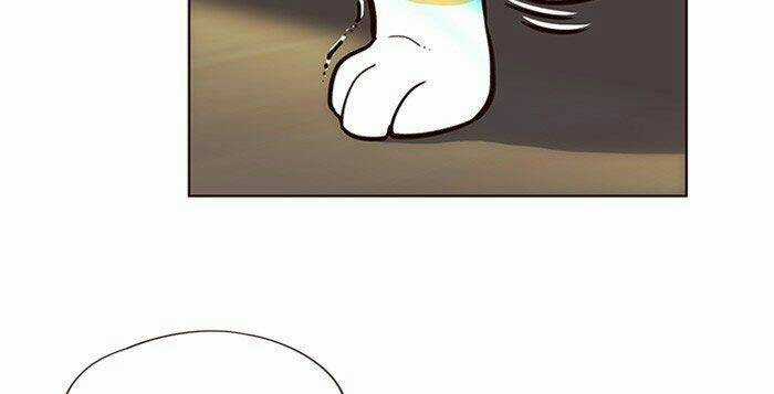 Biến Thân Thành Mèo Chapter 11 trang 28