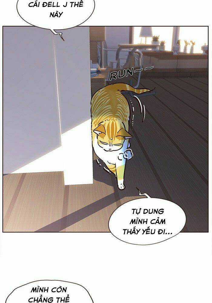 Biến Thân Thành Mèo Chapter 11 trang 29