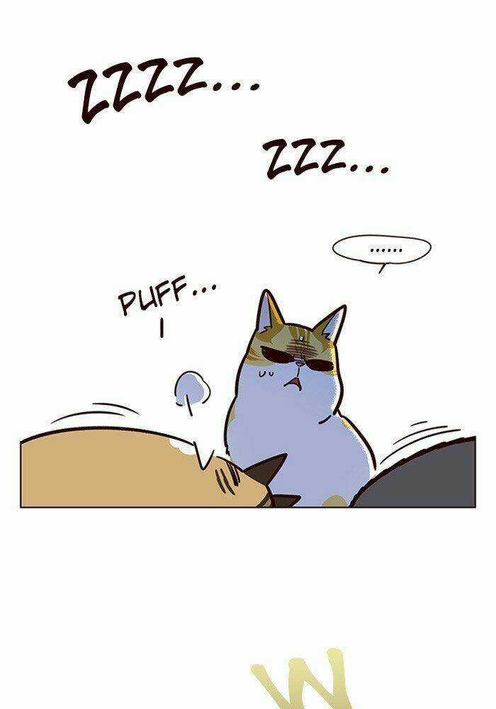 Biến Thân Thành Mèo Chapter 11 trang 38