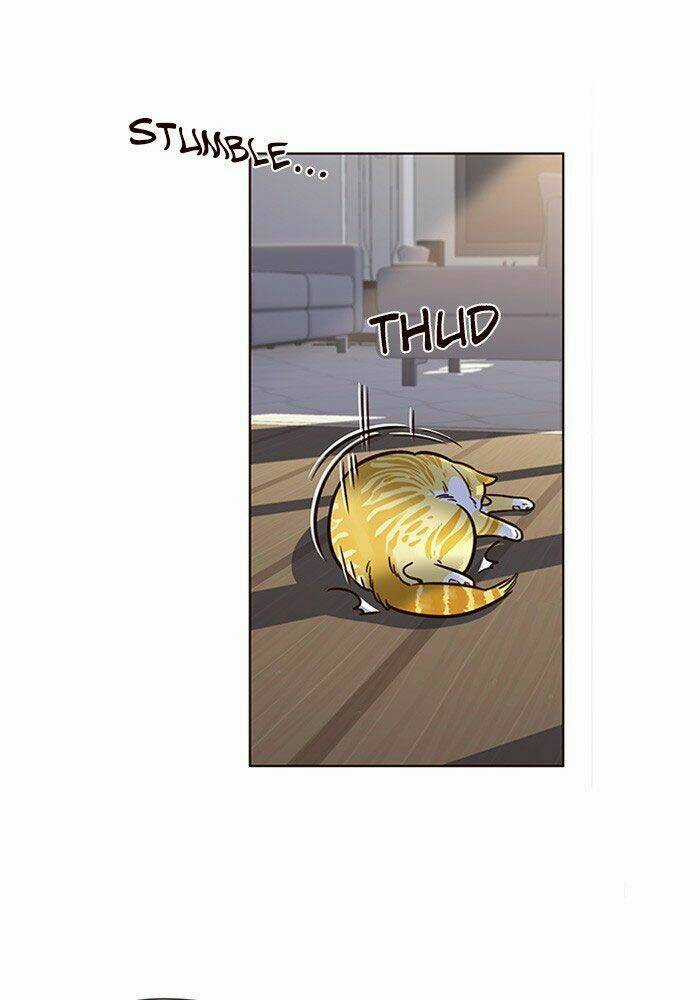 Biến Thân Thành Mèo Chapter 11 trang 44