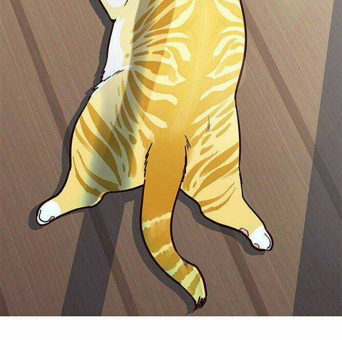 Biến Thân Thành Mèo Chapter 11 trang 49