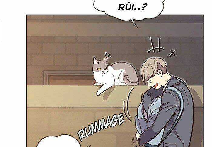 Biến Thân Thành Mèo Chapter 11 trang 52