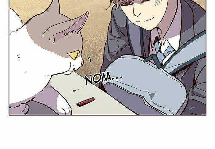 Biến Thân Thành Mèo Chapter 11 trang 55