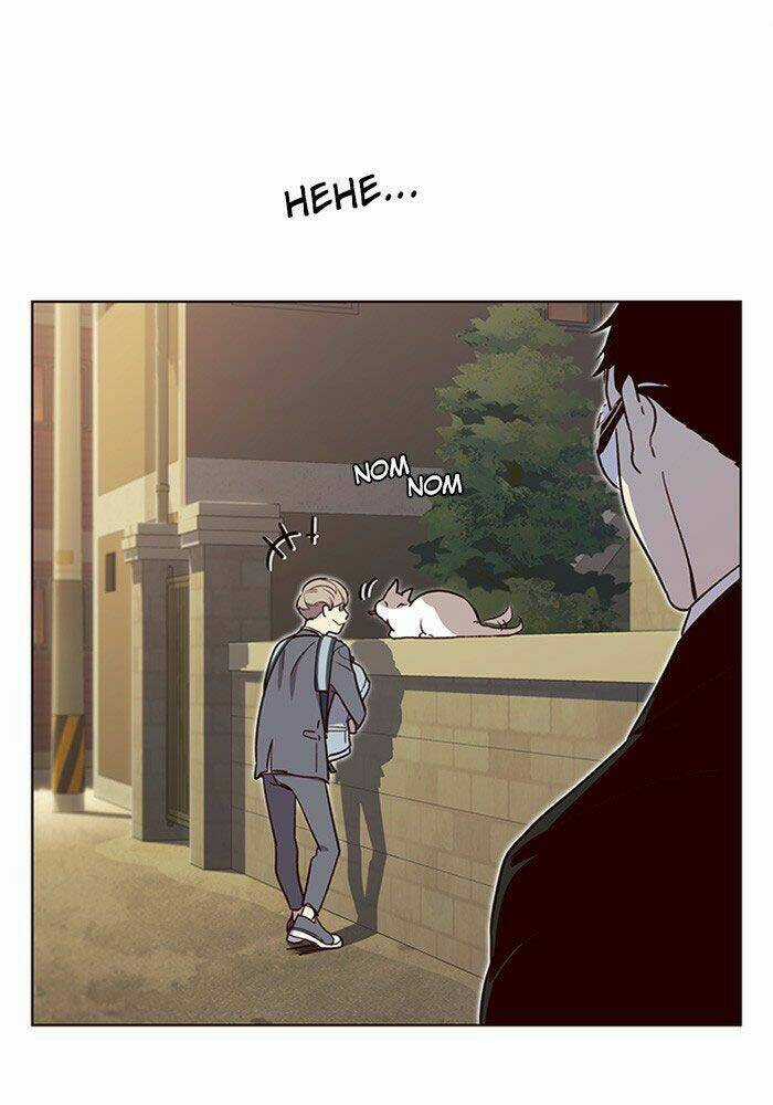 Biến Thân Thành Mèo Chapter 11 trang 56