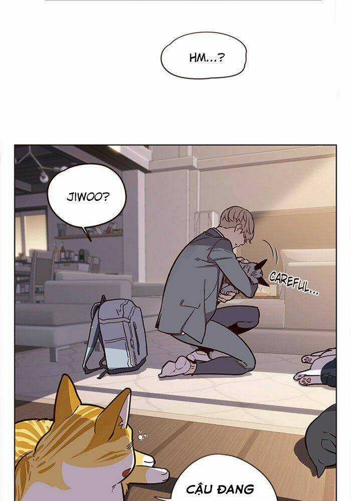 Biến Thân Thành Mèo Chapter 11 trang 77