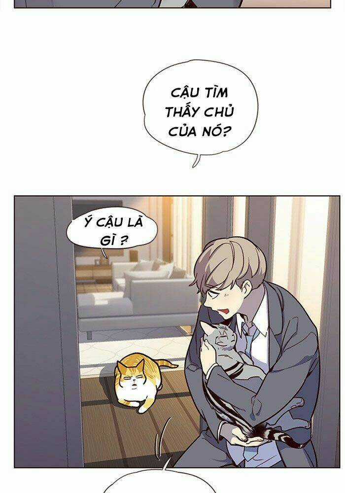 Biến Thân Thành Mèo Chapter 11 trang 79