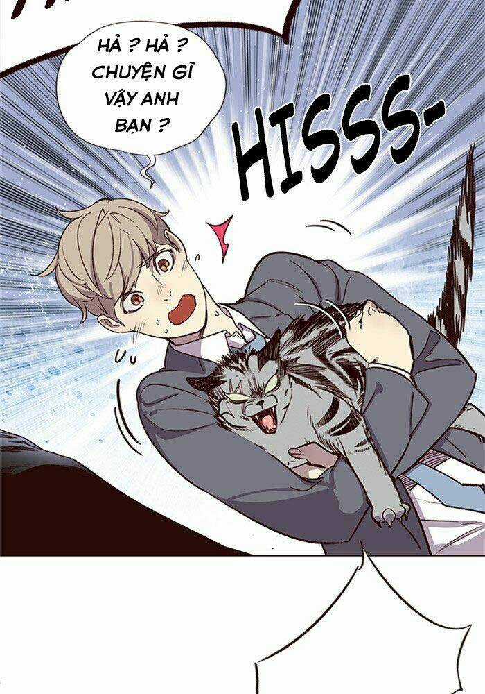 Biến Thân Thành Mèo Chapter 11 trang 92