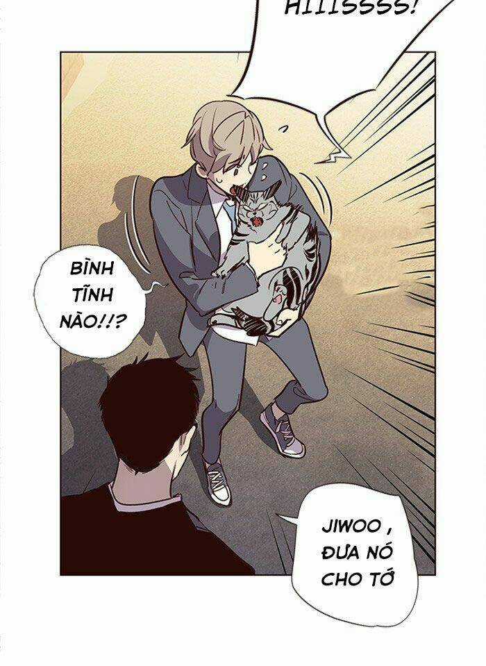 Biến Thân Thành Mèo Chapter 11 trang 93