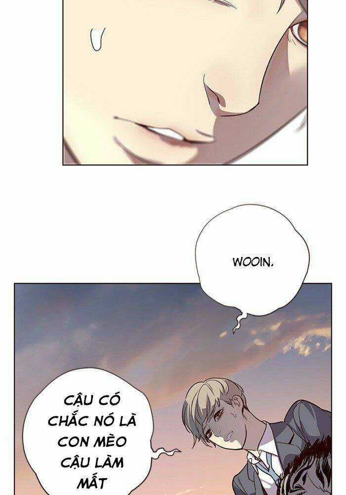 Biến Thân Thành Mèo Chapter 11 trang 98