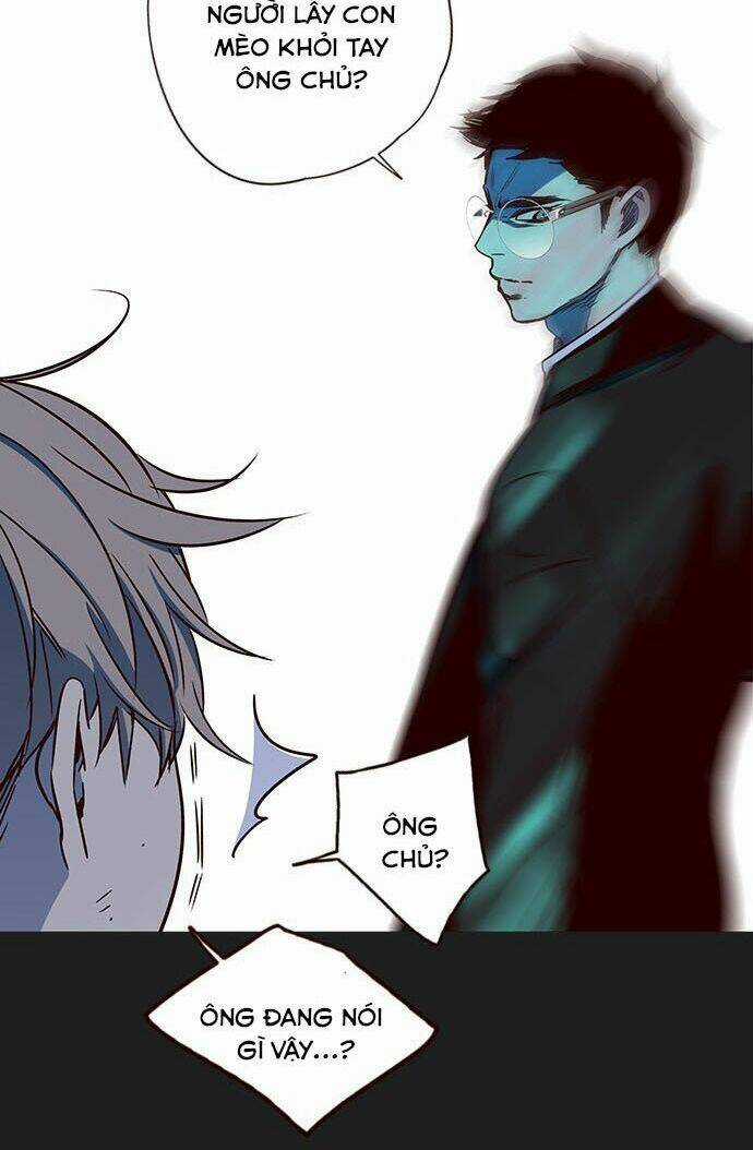 Biến Thân Thành Mèo Chapter 12 trang 10