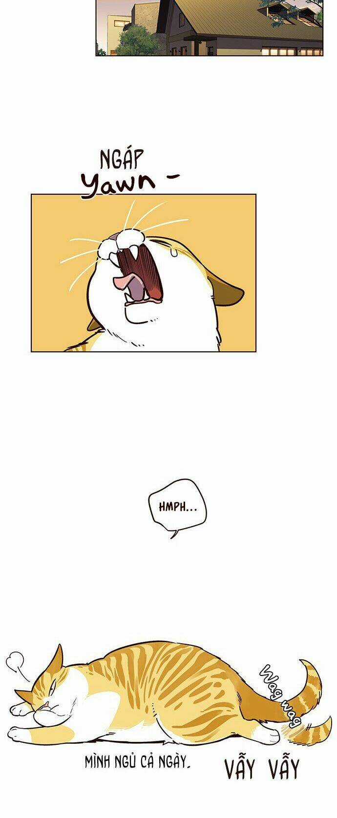 Biến Thân Thành Mèo Chapter 12 trang 47