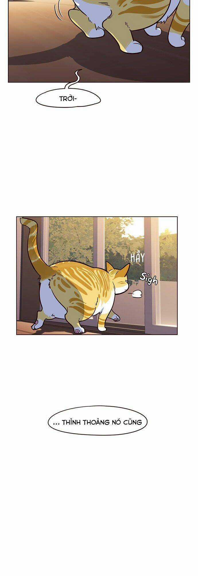 Biến Thân Thành Mèo Chapter 12 trang 51